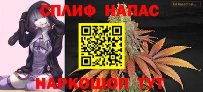 прущие грибы Донецк