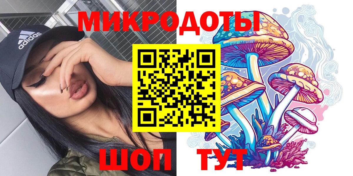Новокубанск  купить наркотик  Галлюциногенные грибы Psilocybe  Вход с VPN  Галлюциногенные грибы мицелий 
