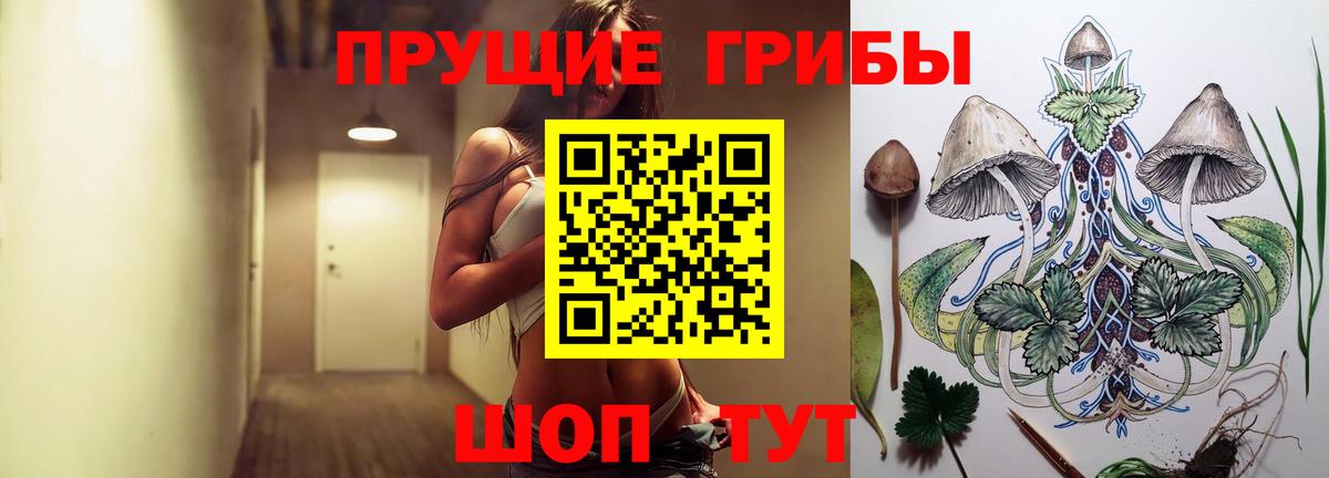 Псилоцибиновые грибы мухоморы Новокубанск