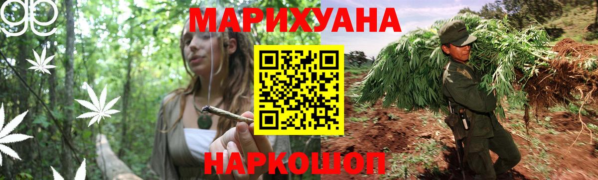 Бошки Шишки планчик Новокубанск